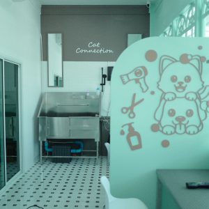 Cat Connection Hotel & Grooming