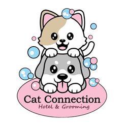 Cat Connection Hotel & Grooming